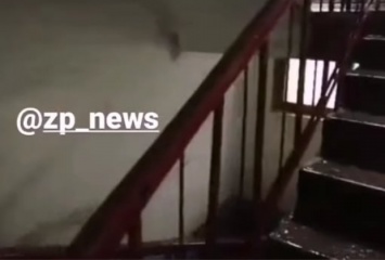Непогода в Запорожье: одну из городских многоэтажек затопило из-за дождя