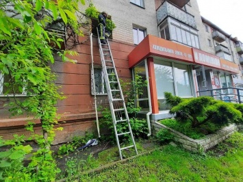 В Ривне спасатели сняли с окна 80-летнюю "альпинистку", спускавшуюся из квартиры по веревке (фото)