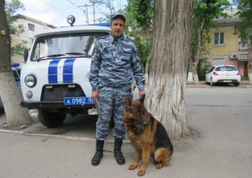 В Крыму полицейский пес Ильхан вычислил грабителя