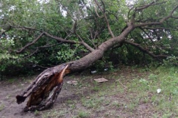 Непогода наделала беды в Луганской области