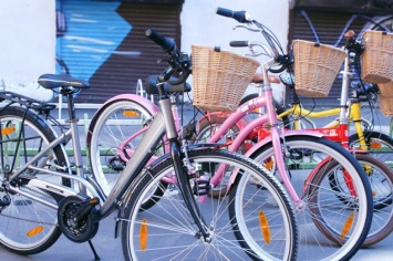 Где в центре города можно взять напрокат велосипед и во сколько это обойдется