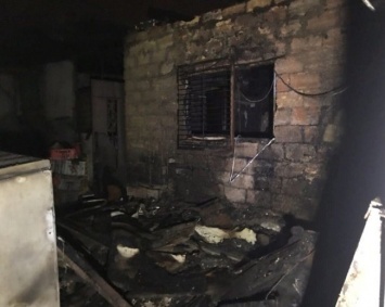 Одесса: во время пожара в «Ковчеге» были эвакуированы 350 собак и 40 кошек