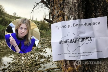 В Крыму назрела катастрофа из-за недостатка воды: в России забили тревогу