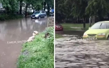 Ливни затопили улицы Харькова