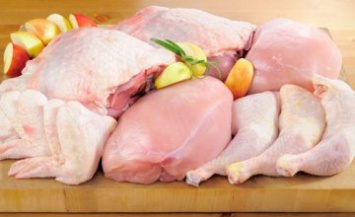 «Полезная программа»: мясо какой птицы выбрать?