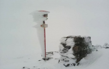 В третий день лета на высокогорье украинских Карпат идет снег