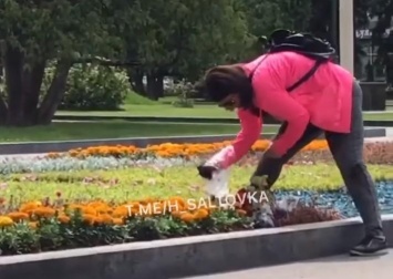 Сеть возмутило видео с женщиной, которая рвет цветы с клумбы в Харькове (видео)