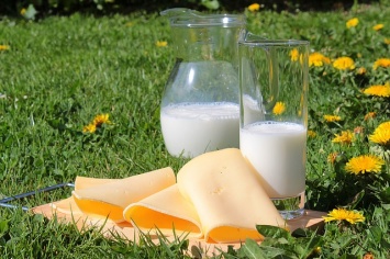 Крымские производители молока хотят объединиться против контрафакта