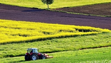 Около 40% распаеванных земель в Украине "работают" в тени - эксперты