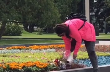 В Харькове женщина сред бела дня воровала цветы с городской клумбы. ВИДЕО