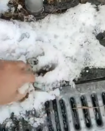 Это не снег: синоптик объяснил природную аномалию, которая произошла под Киевом (ФОТО)