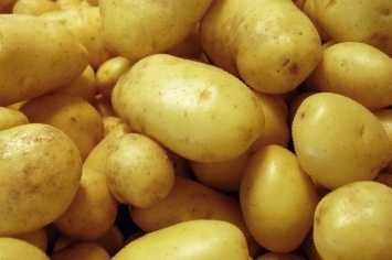 В Украину массово завозят "техническую картошку": можно ли ее есть