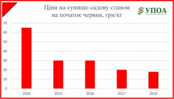 В Украине цена на клубнику поднялась до рекордных показателей истории