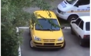 В Мелитополе во дворе многоэтажки воры оставили без номеров припаркованные автомобили (видео)