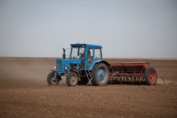 Ячмень, горох и кукуруза: в Днепропетровской области закончилась посевная кампания