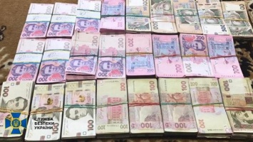 Вывели в тень более 500 млн грн: СБУ разоблачила международную группировку отмывателей денег