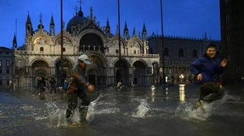 Венецию затопил аномальный прилив (фото, видео)