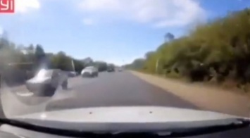 На трассе под Мелитополем водитель чудом избежал лобового столкновения (видео)