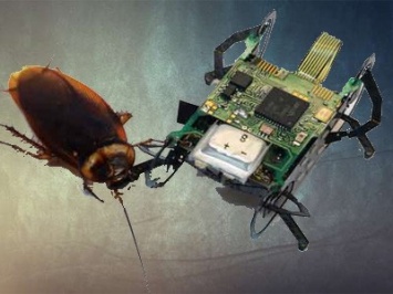 Инженеры создали скоростного робота размером с таракана