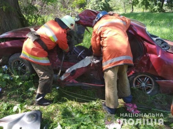 На севере Житомирской области в ДТП погибли четыре человека