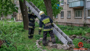 В Днепре на улице Бажова спасатели сняли котенка с балкона нежилой квартиры