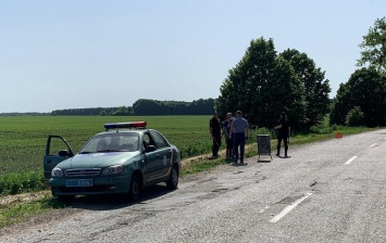 В Киевской области нашли тело пропавшего нацгвардейца