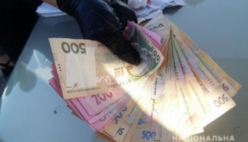 В Запорожской области мошенница представилась соцработником и обманула пенсионеров на 100 тыс грн (ФОТО)