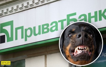 Сотрудницу ПриватБанка покусала собака: хозяин пса не хотел покидать очередь в банк