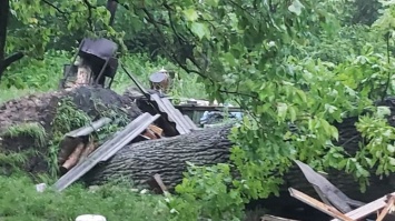 Во Львове и Львовской области пронеслась буря: есть погибшая (ФОТО, ВИДЕО)