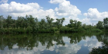 В Запорожье на «Гребном канале» не рекомендуется купаться из-за плохого качества воды