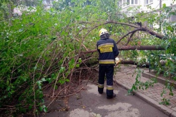 Из-за непогоды на Днепропетровщине обесточены 6 населенных пунктов, - ФОТО, ВИДЕО