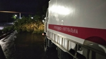 Три спасателя боролись с упавшим ночью деревом в Котовске