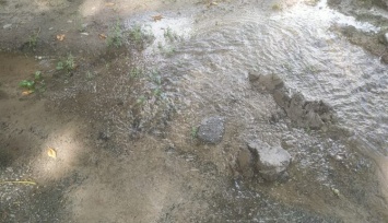 В Запорожье на Космосе из-под земли забила вода (ФОТО-ВИДЕО)