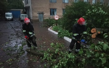 Нововоронцовские спасатели убрали дерево, которое упало возле станции скорой помощи