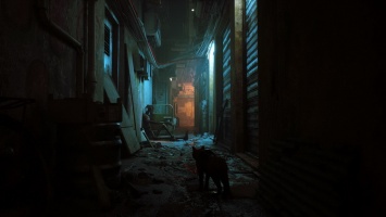 Мир глазами кота в разрушенном городе: состоялся анонс приключения Stray для ПК и PS5