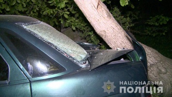 В Винницкой области пьяная женщина сбила четырех детей: один в коме (фото)