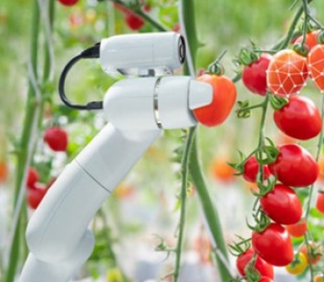 Великобритания: Нехватку рабочих на фермах преодолеют внедрением роботов