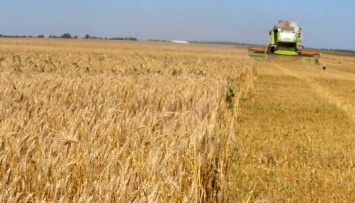 В двух областях Украины стартовала жатва