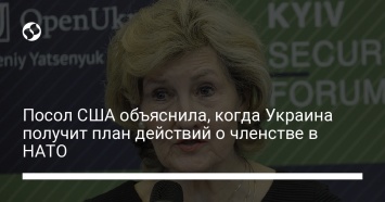 Посол США объяснила, когда Украина получит план действий о членстве в НАТО