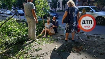 В Киеве дерево рухнуло прямо на девушку. ВИДЕО