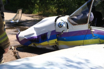В Одессе упал легкомоторный самолет "Дельфин": в авиакатастрофе погибли два человека