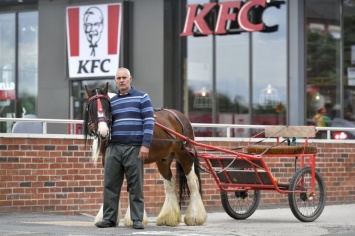 В KFC Авто отказались обслужить клиента на лошади (ФОТО)