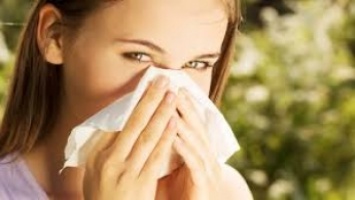 10 продуктов, которые помогут справиться с сезонной аллергией