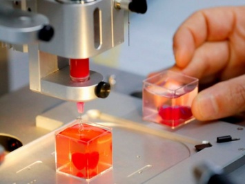 Исследователи научились печатать биосенсоры прямо на внутренних органах