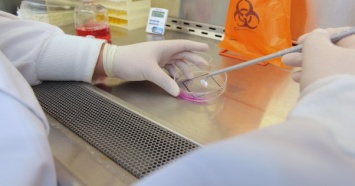 В Domestos заявили о лабораторно подтвержденной эффективности их гелей против коронавируса