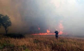 В Днепропетровской области ликвидирован пожар в лесном массиве