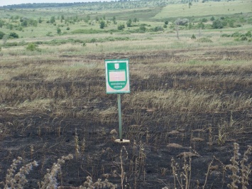 На Луганщине фермер выжег заповедную степь, где живут краснокнижные байбаки