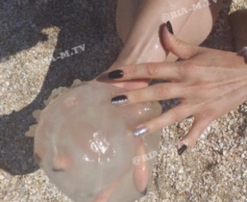 В Кирилловке вода в море, как парное молоко, и появились медузы (видео)