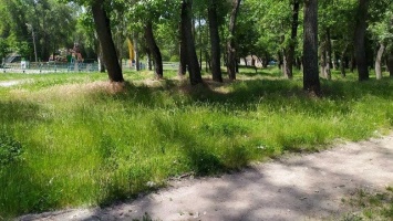 В запорожской "Дубовке" покосили траву только после проверки инспекции по благоустройству