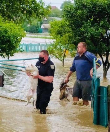 На Прикарпатье и Буковине потоп: прорвало дамбу, а также "помогли" сильные ливни (ФОТО, ВИДЕО)